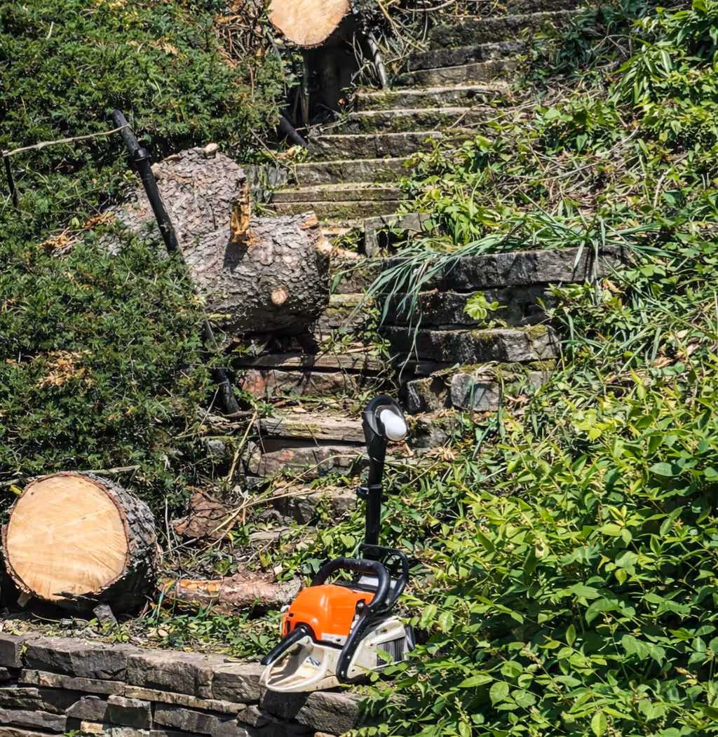 Chainsaw resting on stone steps surrounded by trees and freshly cut logs amid greenery.