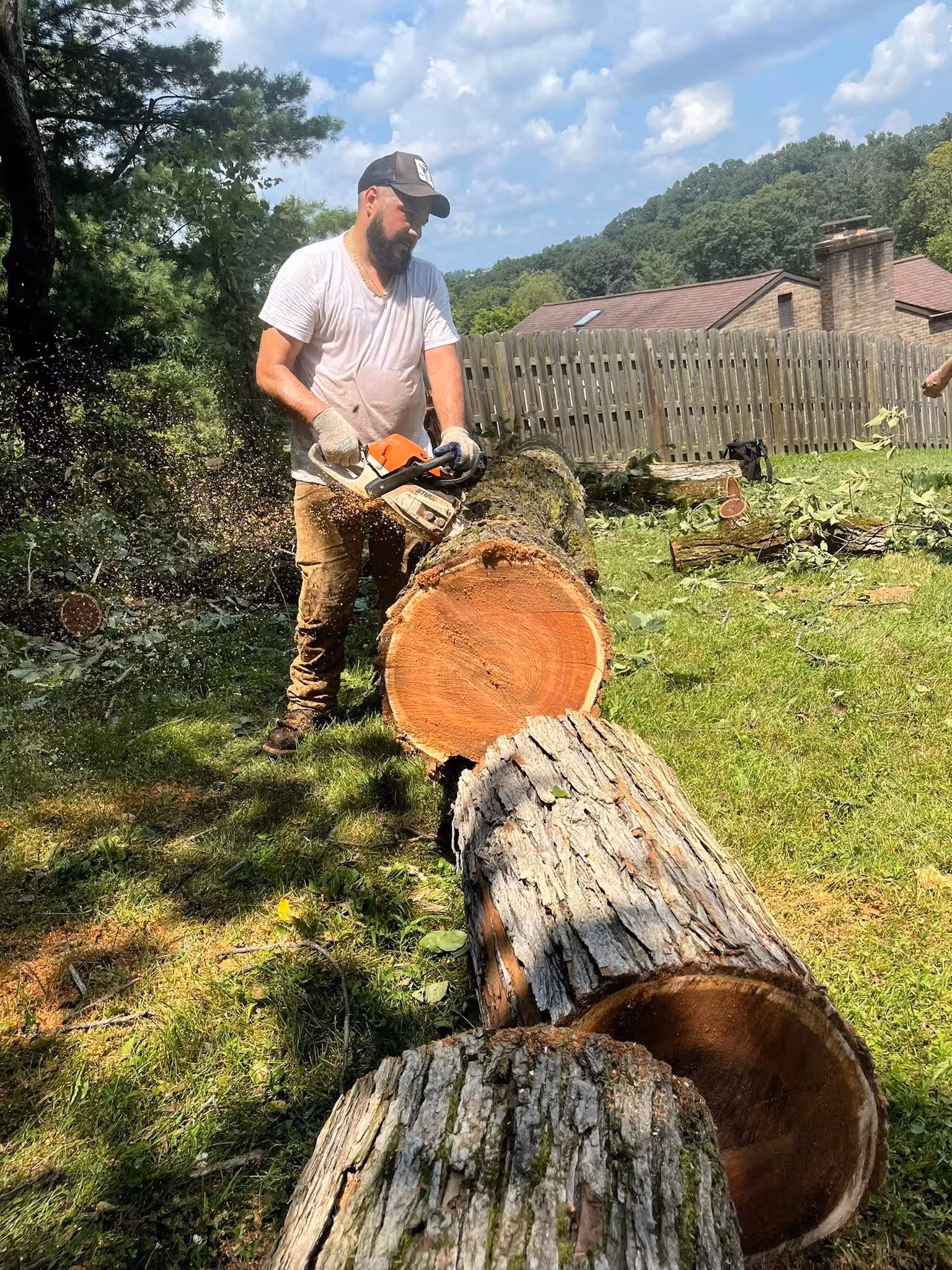 Man wearing gloves and a cap using a chainsaw to cut a large fallen tree on green grass.