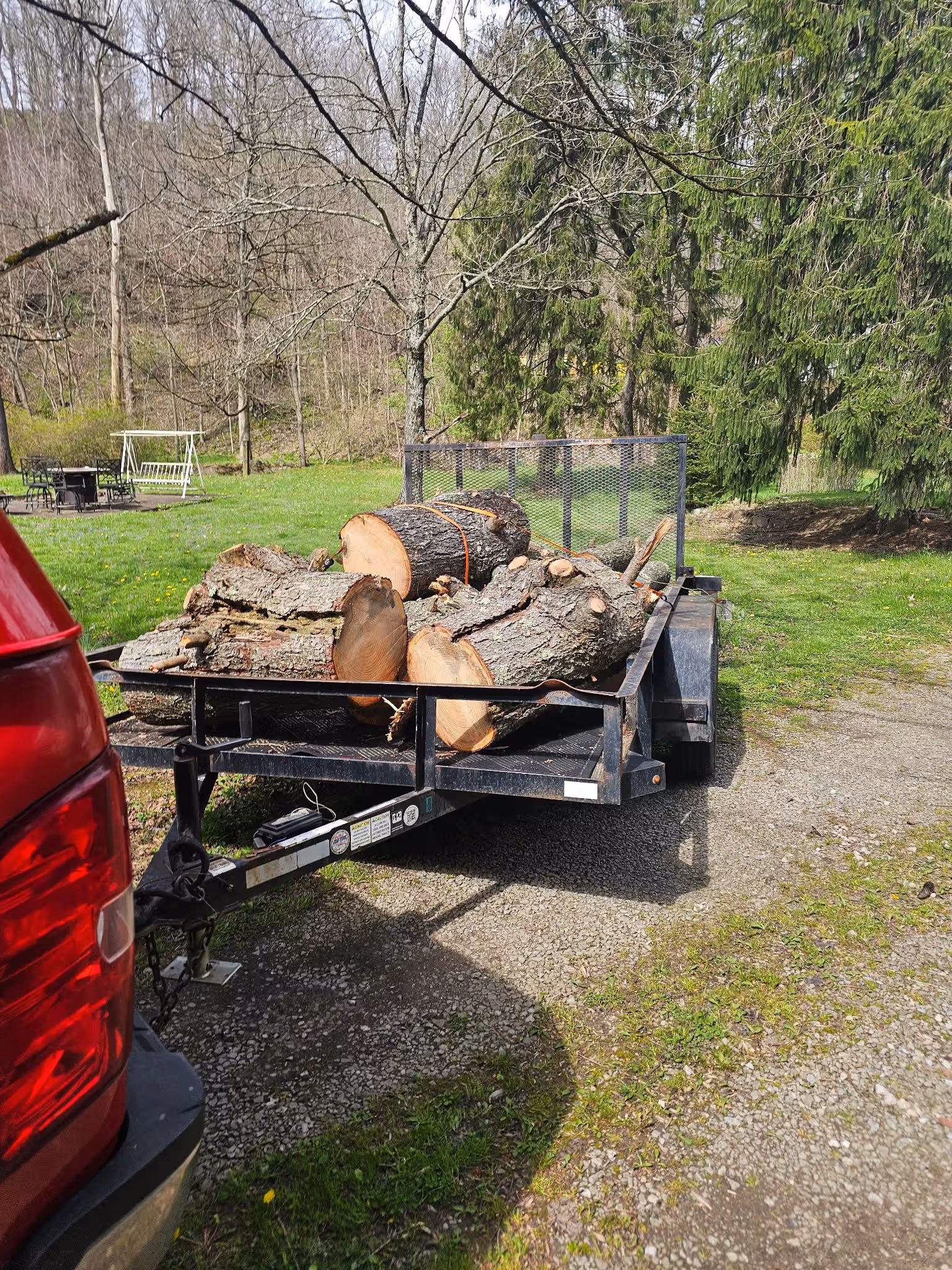 Trailer attached to a red vehicle carrying cut tree logs on a gravel driveway in a yard.