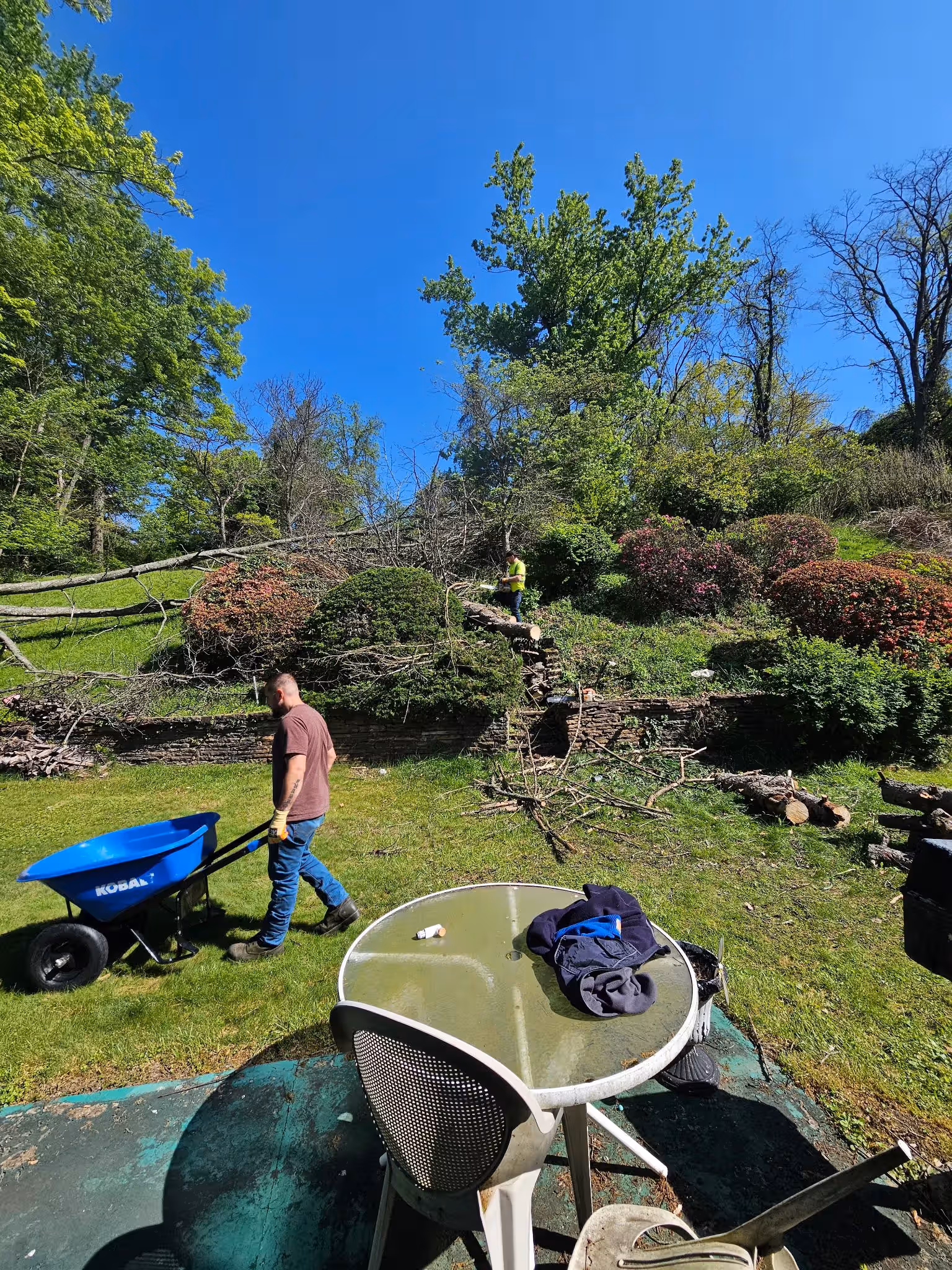 Two men working outdoors clearing fallen tree branches with a wheelbarrow and chainsaw in a garden.