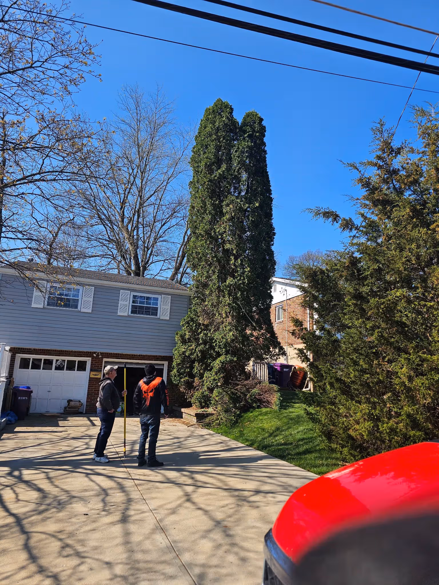 Two people standing on a driveway beside tall evergreen trees near a house on a clear day.
