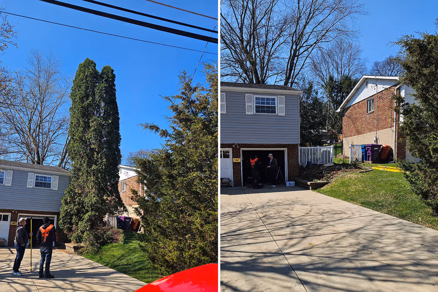 Side-by-side before and after photos of a driveway with a large tree removed near a garage.
