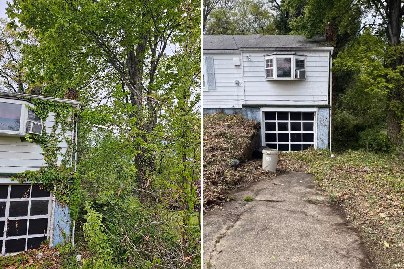 Side-by-side before and after photos of a white house's basement garage surrounded by dense greenery, then cleared.