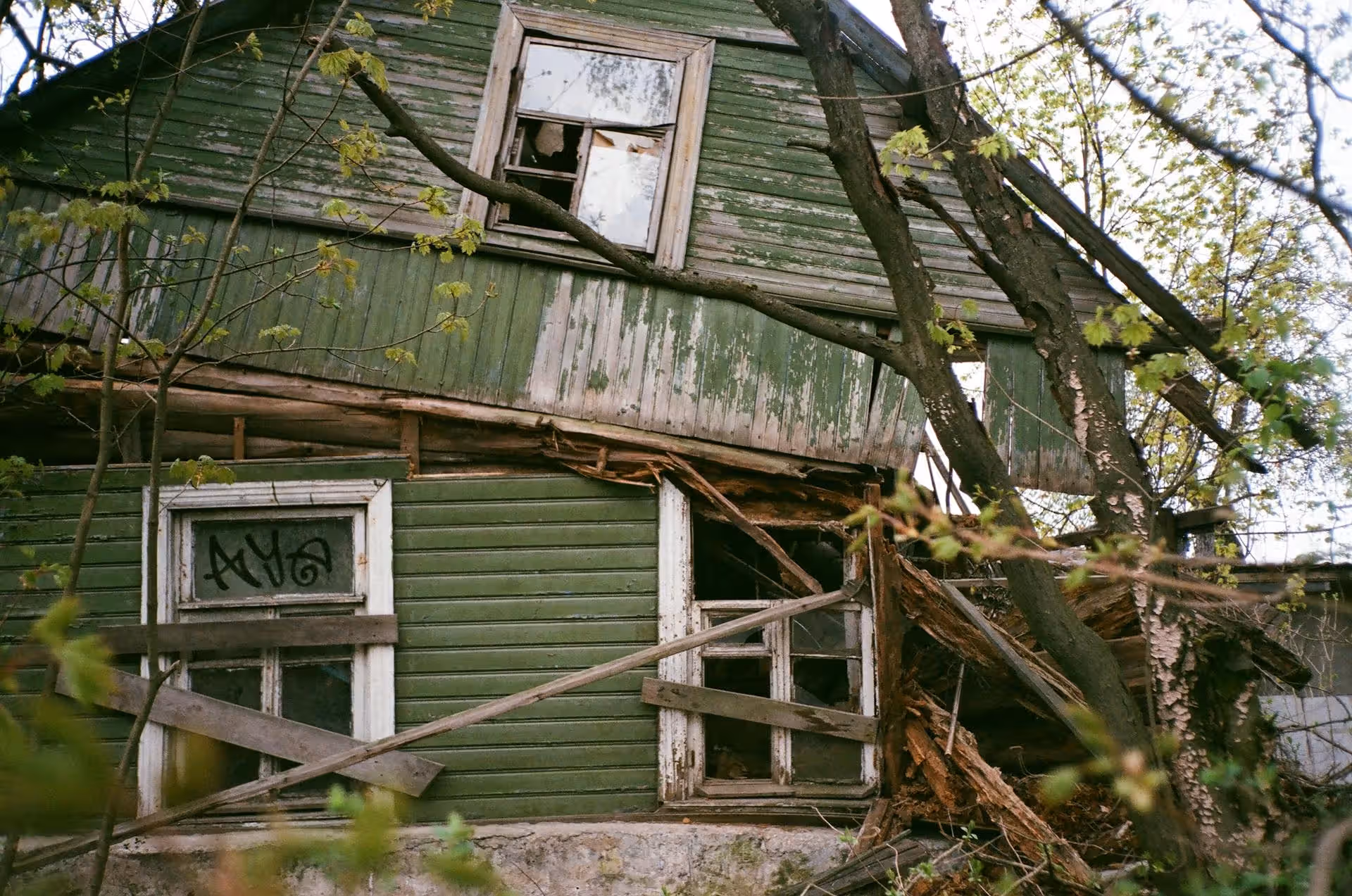 Green wooden house with broken windows and a collapsed wall surrounded by tree branches.