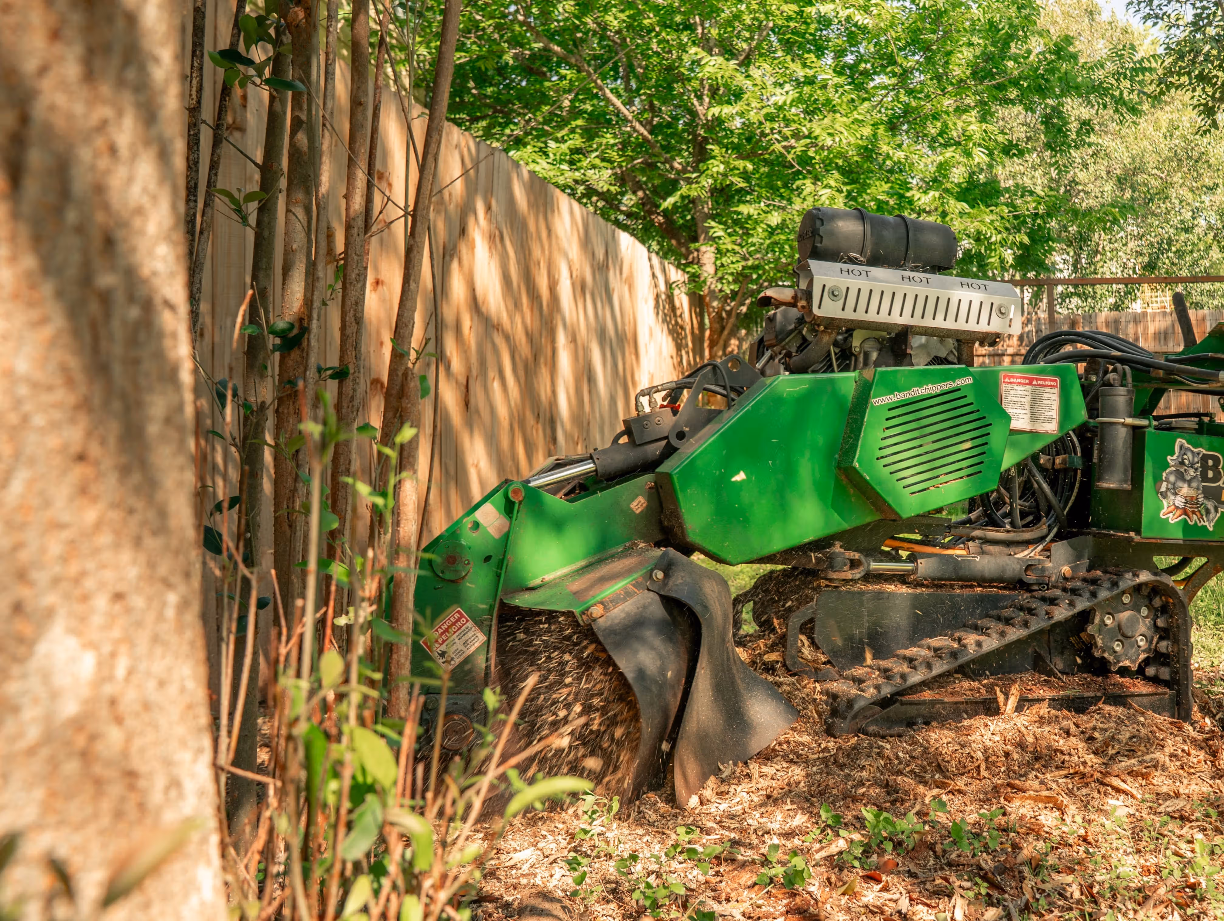 Green stump grinder machine chipping tree stump wood near wooden fence and trees.